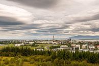 Skyline von Reykjavik von Gerry van Roosmalen Miniaturansicht