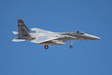 A McDonnell Douglas F-15C Eagle of the Florida Air National Guard is about to land at Nellis Air For by Jaap van den Berg