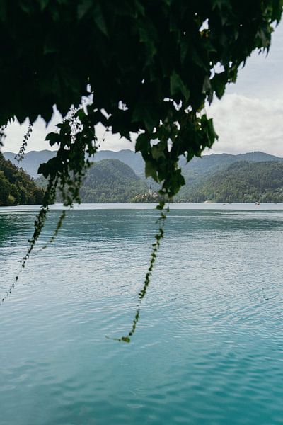 Lake Bled Slovenia by sonja koning