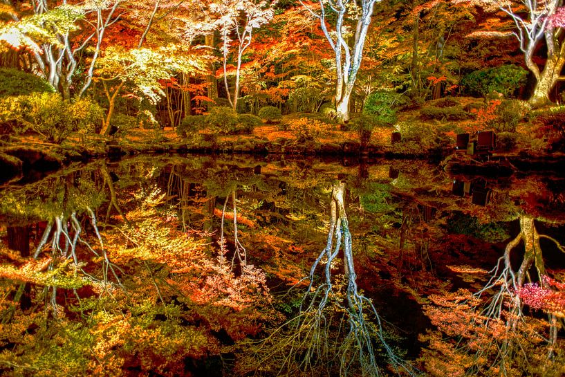 light installation by Stefan Havadi-Nagy