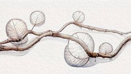 Rustig schilderij:  Serene Herfst, boomtak met regendruppels van Studio Pieternel