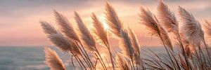 Pampas Poetry in the Evening Glow