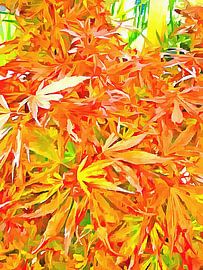 Acer Style Pop Art sur Dorothy Berry-Lound