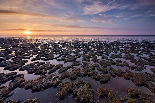 Moddergat, Friesland