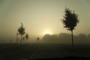 Kurve im Morgennebel