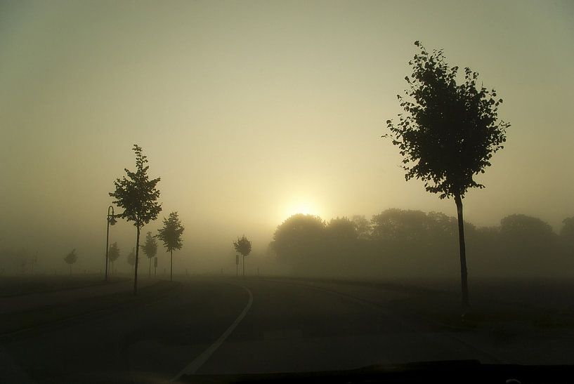 Bend in the morning mist by Norbert Sülzner