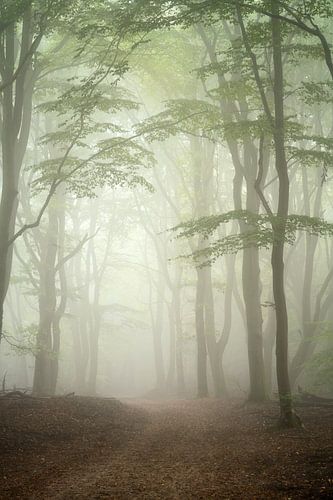 En toen was er licht....