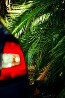 Achterlicht van een auto geparkeerd voor palmbomen