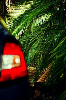 Feu arrière d'une voiture garée devant des palmiers