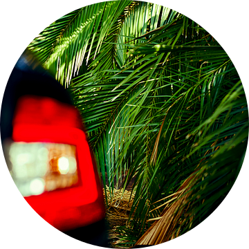 Achterlicht van een auto geparkeerd voor palmbomen van Michael Moser
