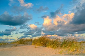 Coucher de soleil sur la plage de Texel avec des dunes de sable au premier plan sur Sjoerd van der Wal Photographie