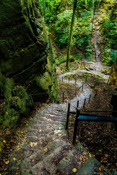 Wandelen via de Müllerthal Trail van Patrick Fotografeert