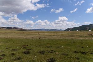landschap