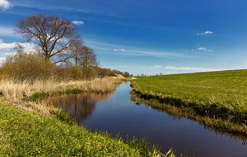 Friesische Landschaft, Niederlande von Adelheid Smitt