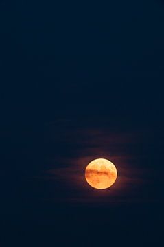 Volle maan in de zomernacht van Sjoerd van der Wal