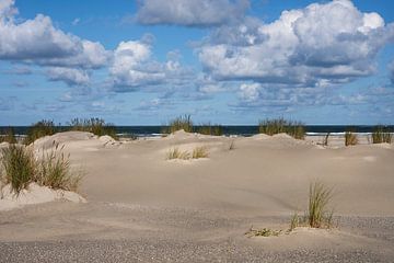 Duinlandschap aan de kust van Ameland van Anouschka Hendriks