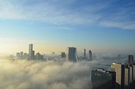 Rotterdam ontwaakt in de vroege ochtend van Marcel van Duinen thumbnail