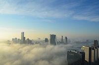 Rotterdam ontwaakt in de vroege ochtend
