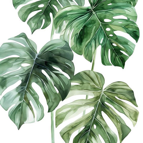 Monstera by Poster Art Shop