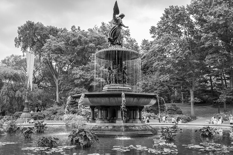 Fontaine Bethesda, Central Park, New York par Vincent de Moor