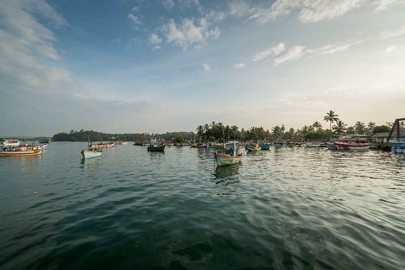 Srilanka van Johan Vet