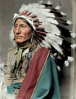 Indianer "Wirbelndes Pferd", ca. 1898