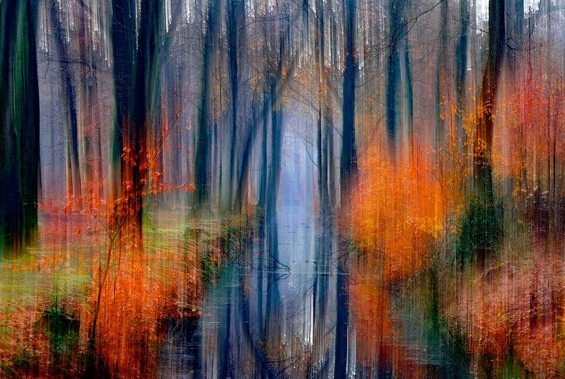 autumn painting by Niels  de Vries