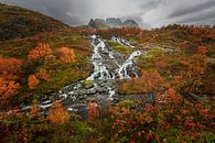 Lofoten von Henk Meeuwes Miniaturansicht