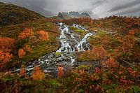 Lofoten