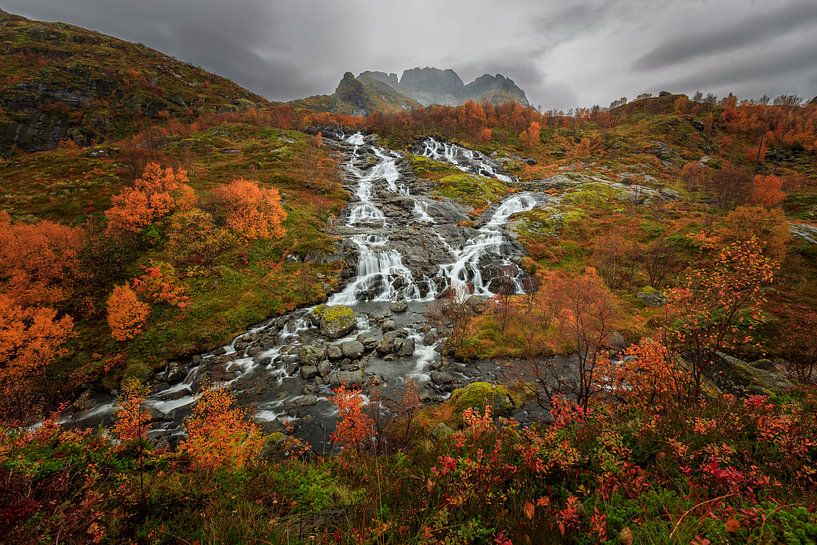 Lofoten von Henk Meeuwes