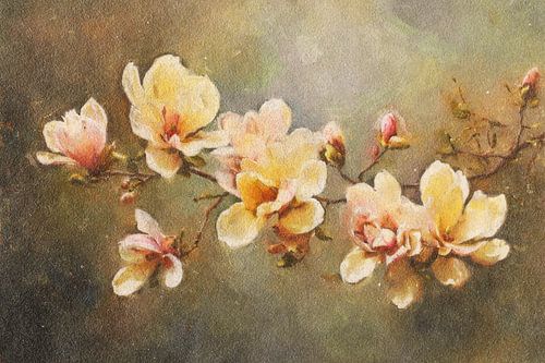 Magnolia in Spring Soft Light