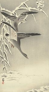 Zwei Kohlegänse in der Schneelandschaft des Ohara Koson