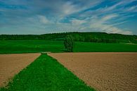 In der Wetterau von Thomas Riess Miniaturansicht