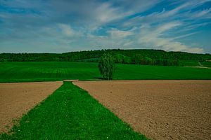 In der Wetterau