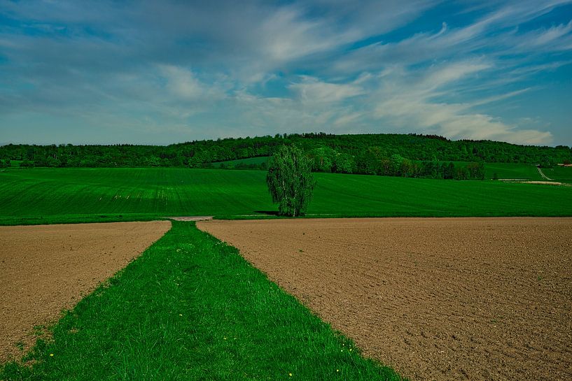In der Wetterau von Thomas Riess