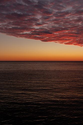 Un monde de merveilles