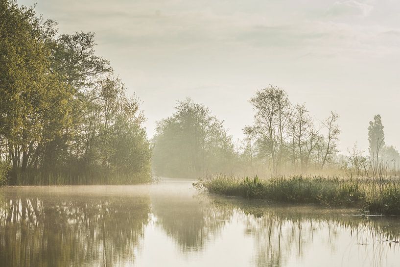 De weerribben NP by Karen Klein
