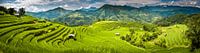 Panorama der Reisfelder von Jeroen Mikkers Miniaturansicht