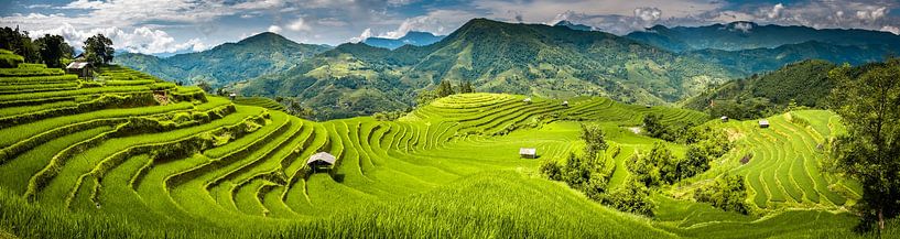 Panorama der Reisfelder von Jeroen Mikkers