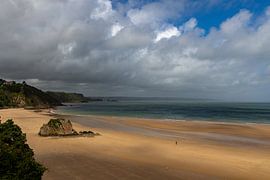 Der Strand von Tenby bei Ebbe von Bas Rutgers