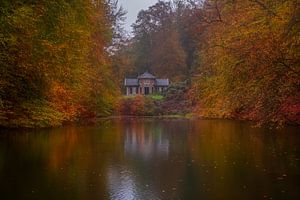 Automne dans le parc Zypendaal II