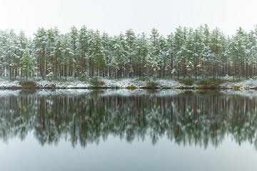 Besneeuwd bos met reflectie van Yanuschka