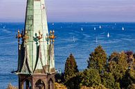 Bodensee-kathedraal in Konstanz aan het Bodenmeer van Werner Dieterich thumbnail