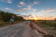 Radfahrer mit Hund bei Sonnenaufgang von Easycopters Miniaturansicht