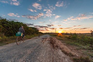 Homme à vélo avec chien au lever du soleil