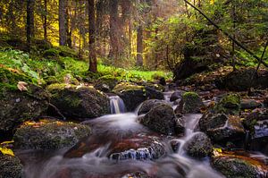 Herbst im Harz