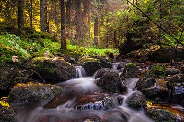 Herfst in het Harz gebergte van Steffen Gierok