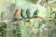 Illustration tropicale quatre oiseaux dans la jungle par Emiel de Lange Aperçu