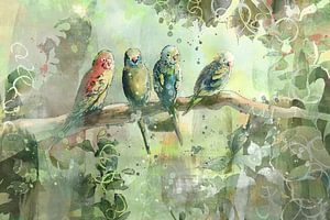 Tropische Illustration vier Vögel im Dschungel