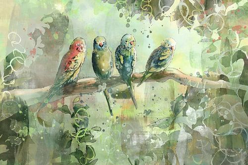 Tropische illustratie vier vogels in de jungle